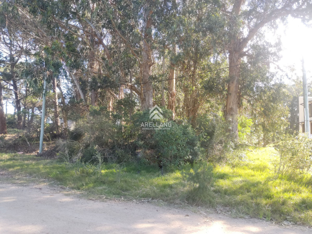 Terreno ID.2897 - Venta terreno Ocean Park 461m2