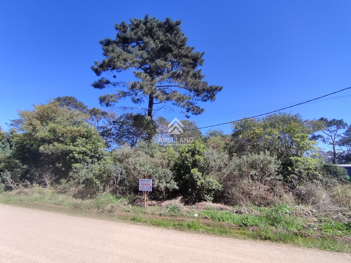 Terreno ID.2893 - Venta Terreno de 1022 mts Ocean Park 