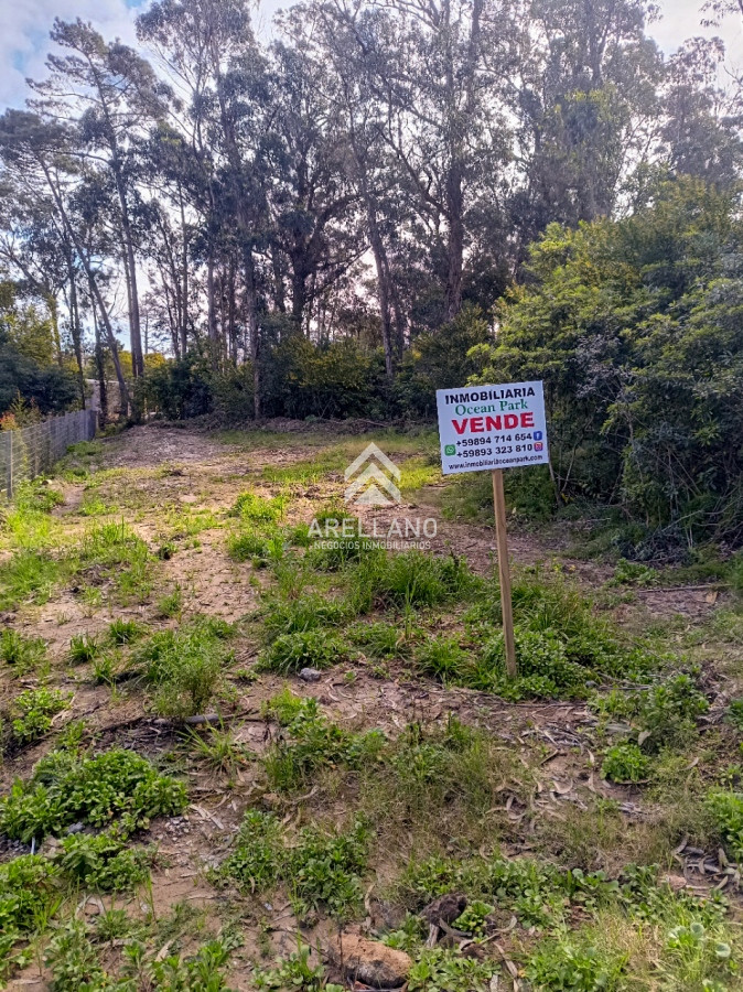 Terreno ID.2902 - Venta terreno Ocean Park 823 m2 