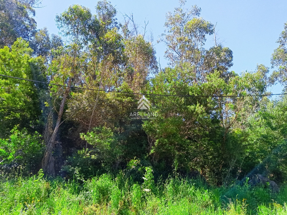 Terreno ID.2899 - Venta terreno Ocean Park 1008 m2 