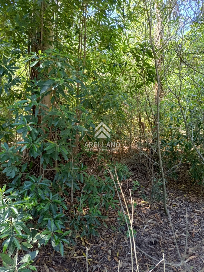 Terreno ID.2899 - Venta terreno Ocean Park 1008 m2 