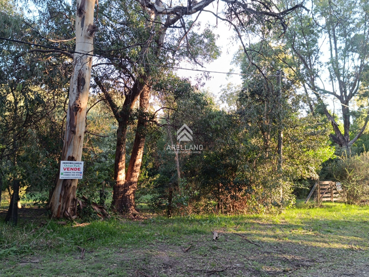 Terreno ID.5270 - Venta lote cercado en sauce de portezuelo