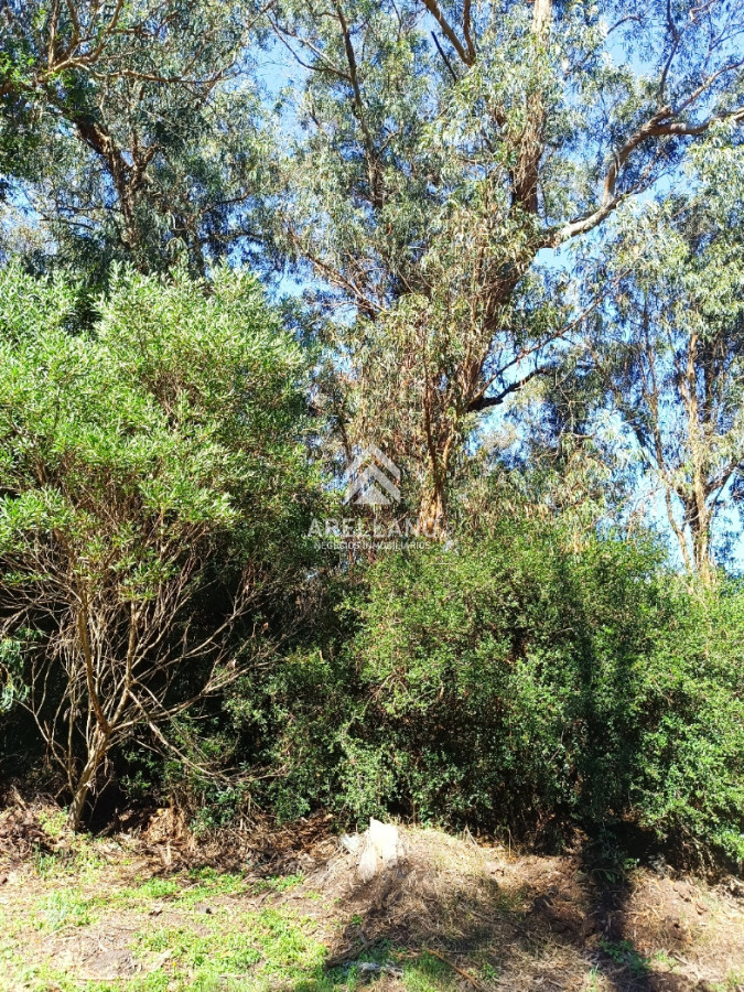 Terreno ID.5268 - Amplio terreno en Sauce