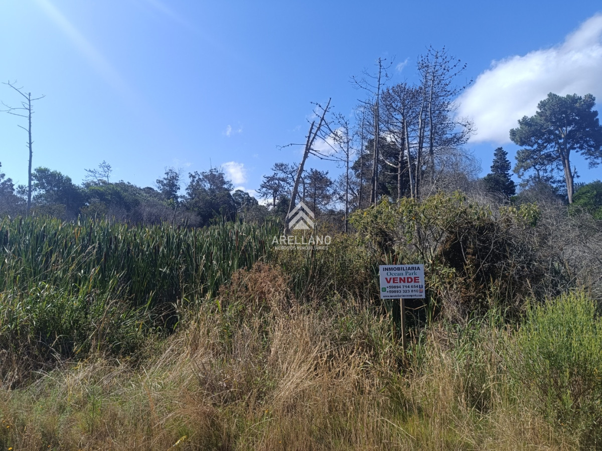 Terreno ID.5196 - venta 720 m2 a 6 cuadras del mar