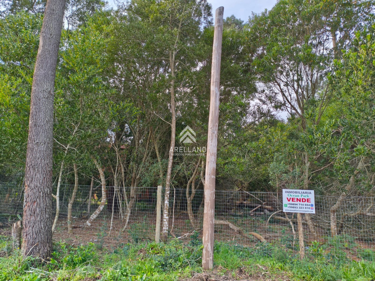 Terreno ID.5199 - Venta terreno Ocean Park 