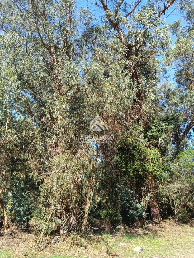 Terreno ID.5269 - Amplio terreno en Sauce