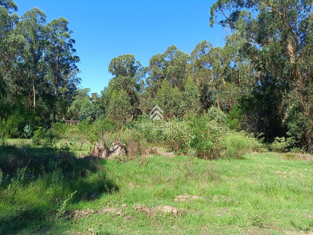 Terreno ID.5269 - Amplio terreno en Sauce