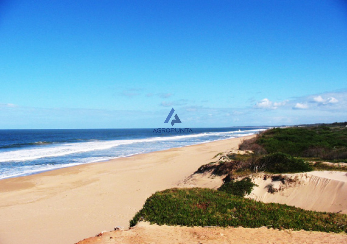 Ocean Park - GoPunta - Portal Inmobiliario de Punta del Este - Maldonado