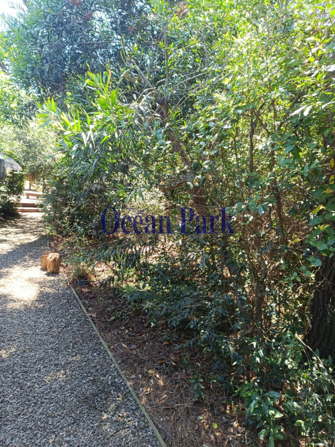 Casa ID.287 - Hermosa casa en amplio terreno