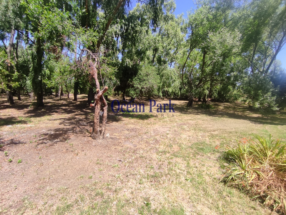 Casa ID.101 - Hermosa y amplia casa, en entorno de bosque