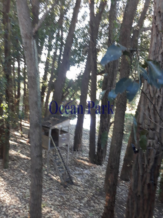 Casa ID.45 - Integrada al bosque. Cómoda
