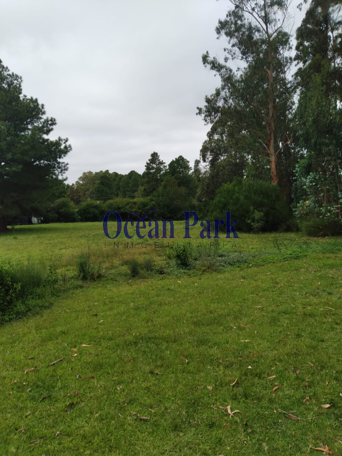 Casa ID.111 - Chacra con casa