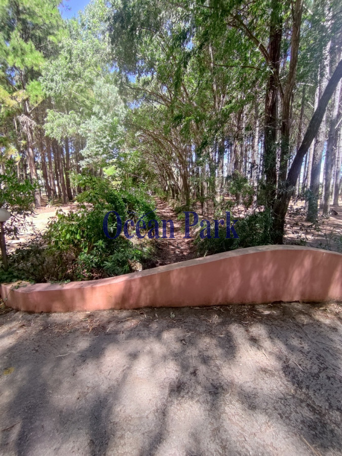 Casa ID.101 - Hermosa y amplia casa, en entorno de bosque