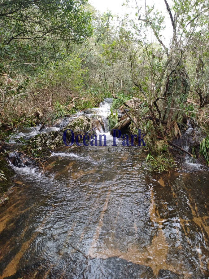 Chacra ID.303 - Espectacular chacra en sierra del carape
