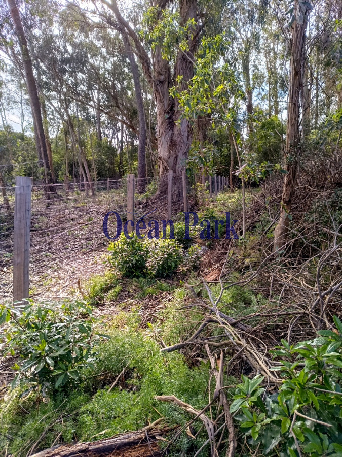 Terreno ID.159 - Oportunidad Venta agradable entorno