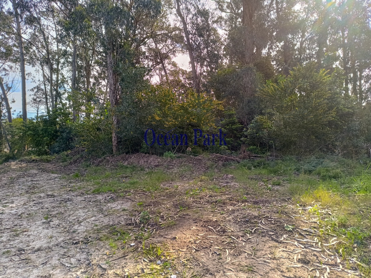 Terreno ID.159 - Oportunidad Venta agradable entorno