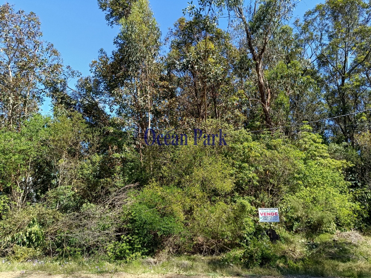 Terreno ID.208 - Amplio lote en entorno de bosque Mz 11 Sl 4