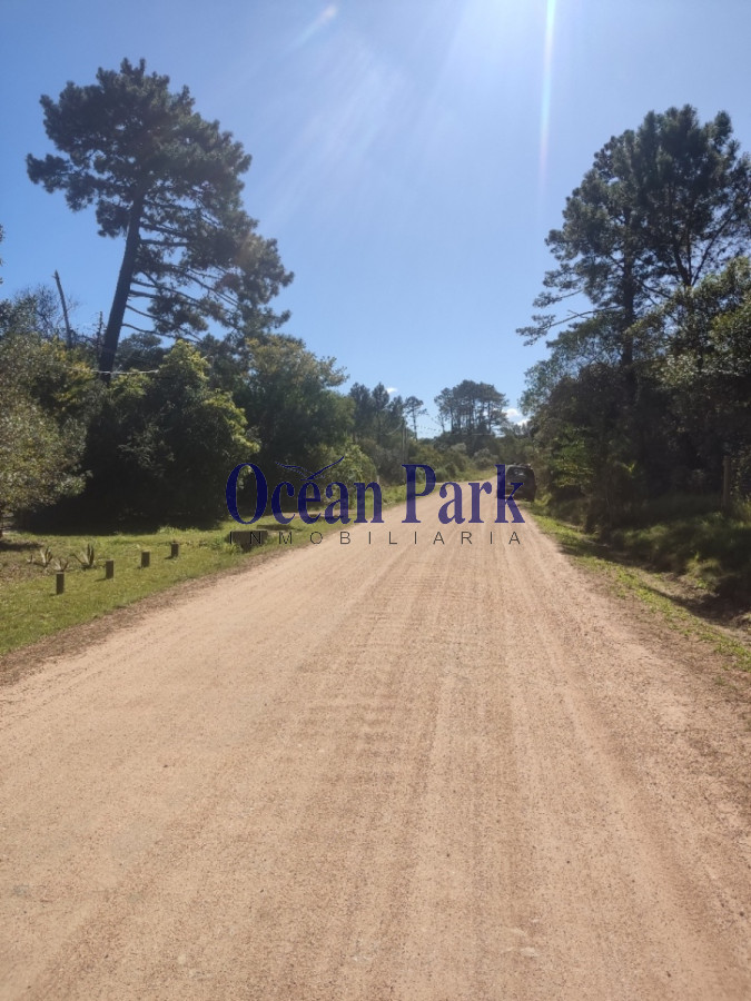 Terreno ID.194 - Amplio terreno de 1035 mts