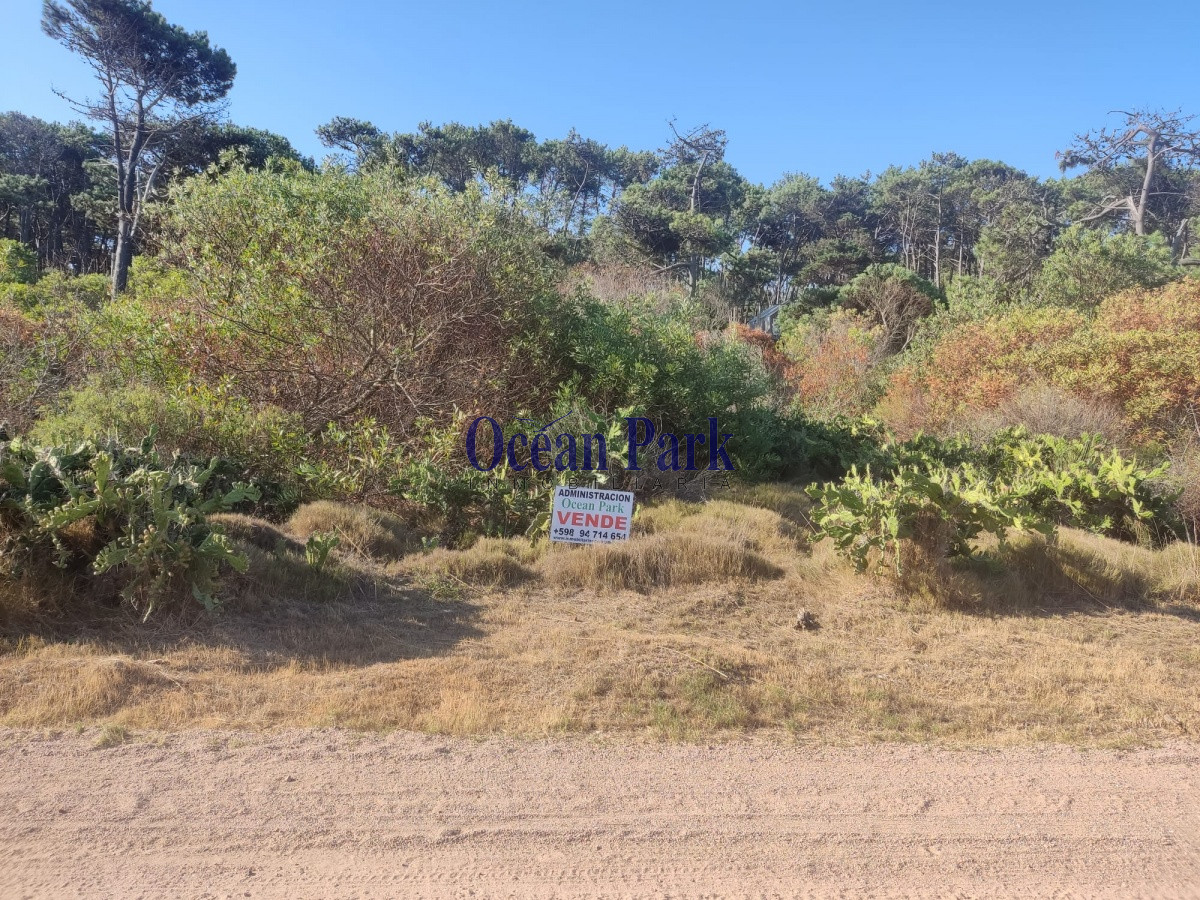 Terreno ID.153 - Terreno en Primera Linea
