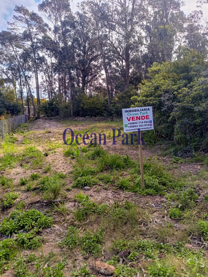 Terreno ID.159 - Oportunidad Venta agradable entorno
