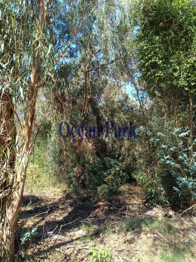 Terreno ID.300 - Amplio terreno en Sauce