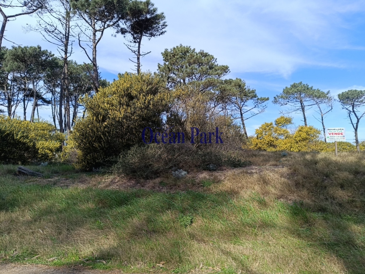 Terreno ID.264 - Lote alto y a pasos del mar