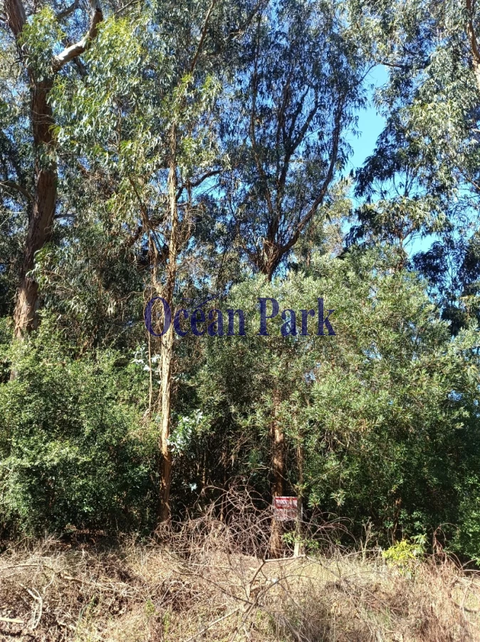 Terreno ID.300 - Amplio terreno en Sauce