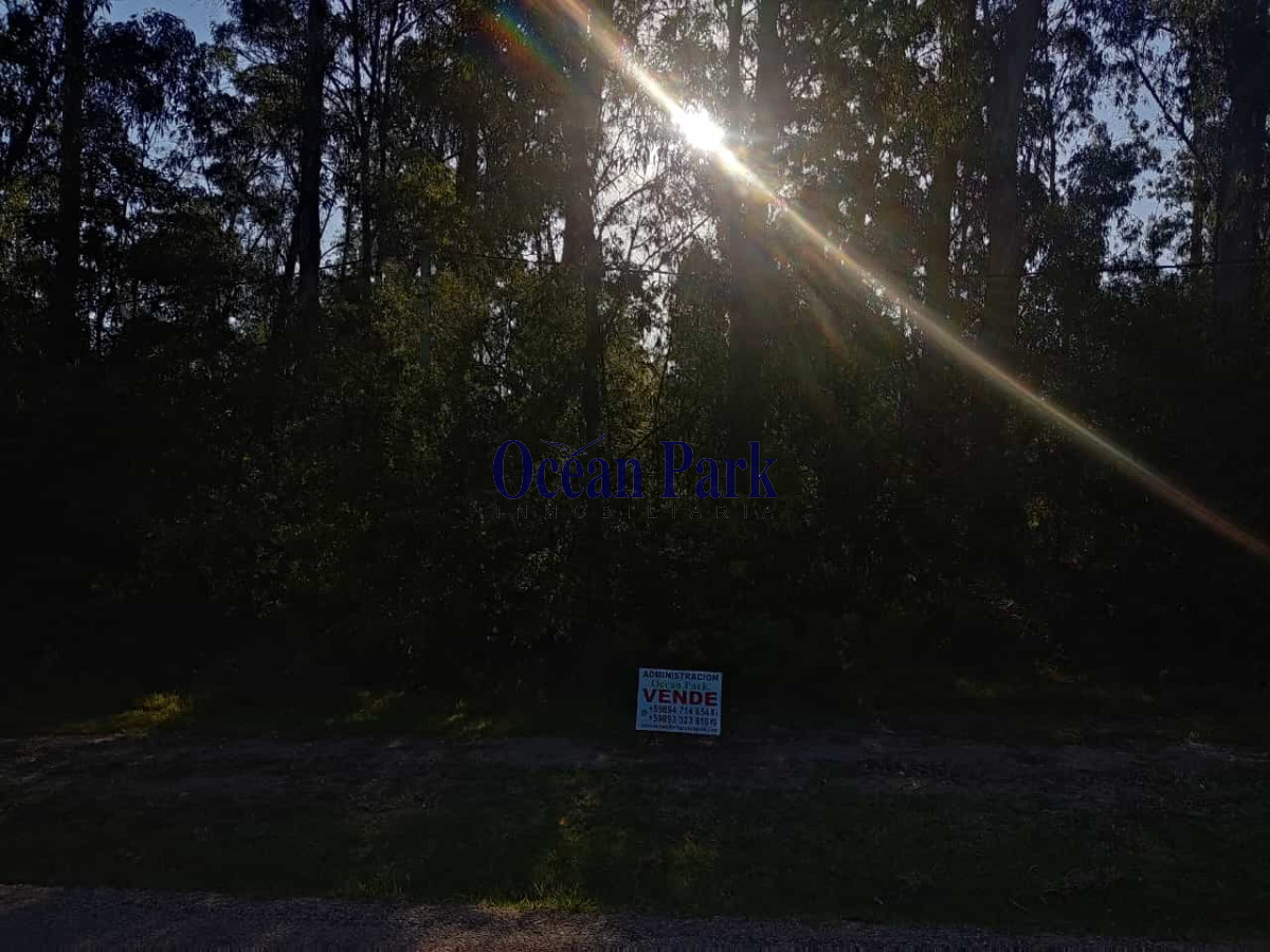 Terreno ID.144 - Venta amplio terreno sobre avenida