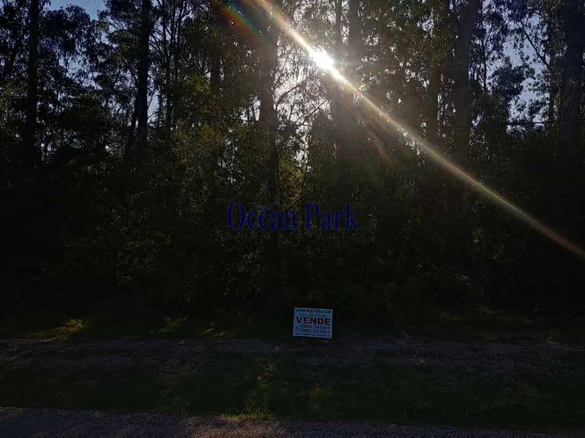 Terreno ID.144 - Venta amplio terreno sobre avenida