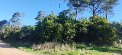 Terreno en venta en Ocean PArk 