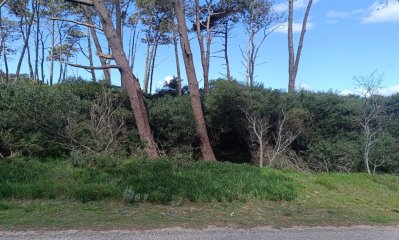 Terreno sobre avenida sobre pasos del mar.