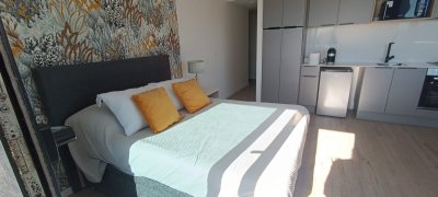Apartamento ID.555/Monoambiente-En-Alquiler-Amoblado-En-Buceo - Monoambiente En Alquiler Amoblado En Buceo