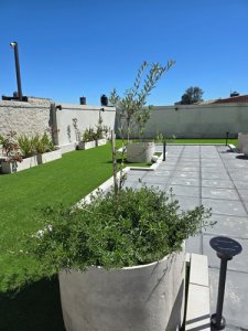 Apartamento ID.607/Apartamento-En-Alquiler-1-Dormitorio-En-La-Blanqueada - Apartamento En Alquiler 1 Dormitorio En La Blanqueada