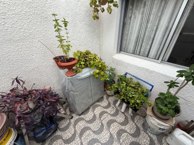 Apartamento ID.503 - Apartamento en venta,1 dormitorio,Malvin.