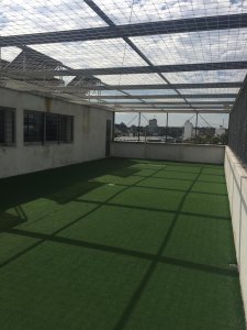 Apartamento ID.595/Apartamento-En-Alquiler-2-Dormitorios-En-Buceo - Apartamento En Alquiler 2 Dormitorios En Buceo