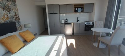 Apartamento ID.555/Monoambiente-En-Alquiler-Amoblado-En-Buceo - Monoambiente En Alquiler Amoblado En Buceo
