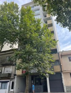 Apartamento ID.727/Apartamento-en-Alquiler-1-Dormitorio-con-Garage-en-Cordón- - Apartamento en Alquiler 1 Dormitorio con Garage en Cordón 