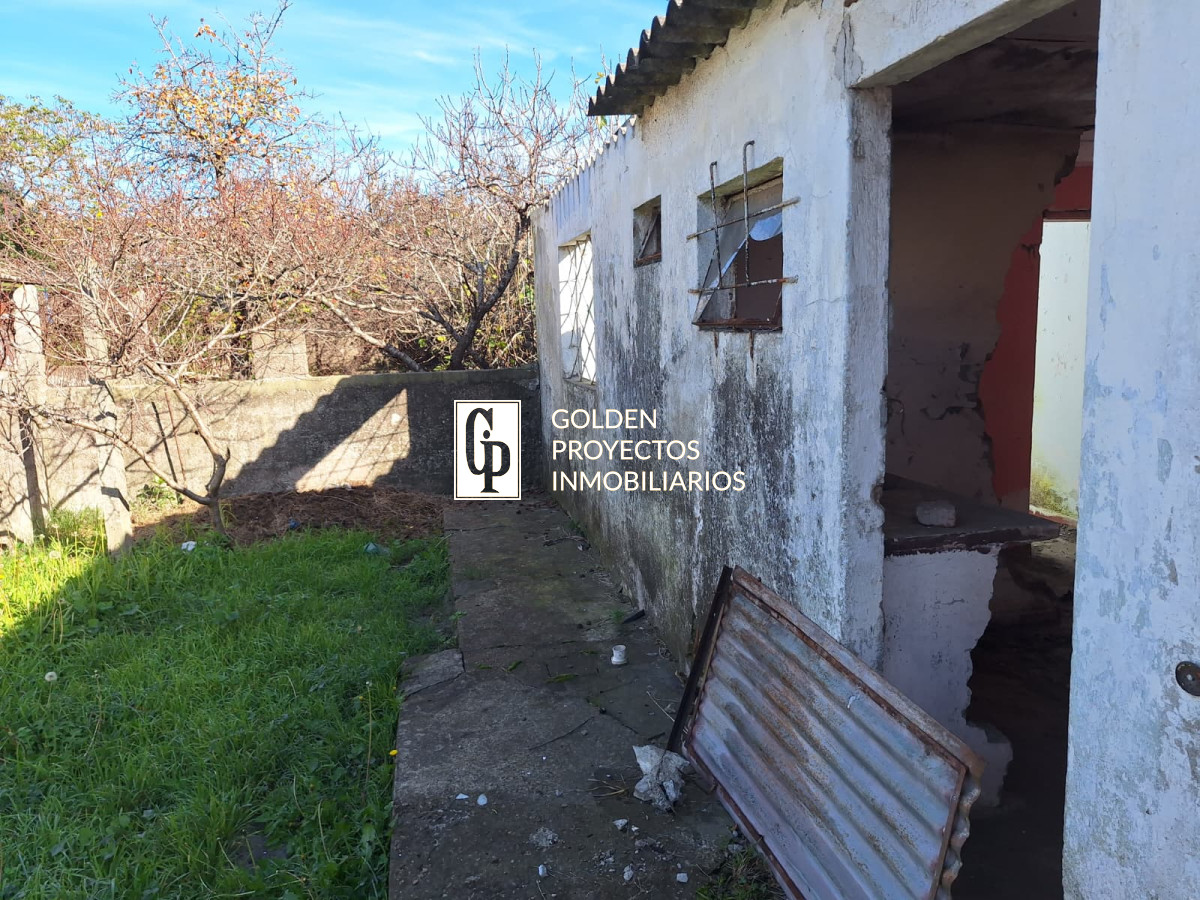 Casa ID.585 - Padrón Único en Venta con 4 unidades en Bella Italia