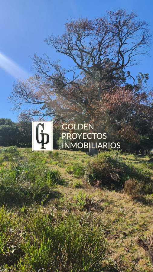 Chacra ID.464 - Venta Chacra, Pueblo Eden, Maldonado