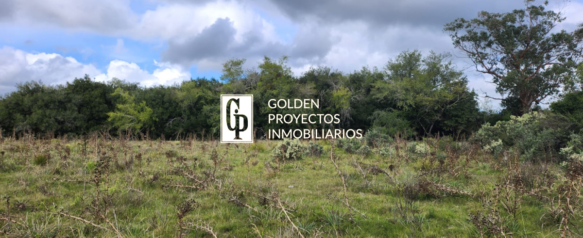 Chacra ID.464 - Venta Chacra, Pueblo Eden, Maldonado