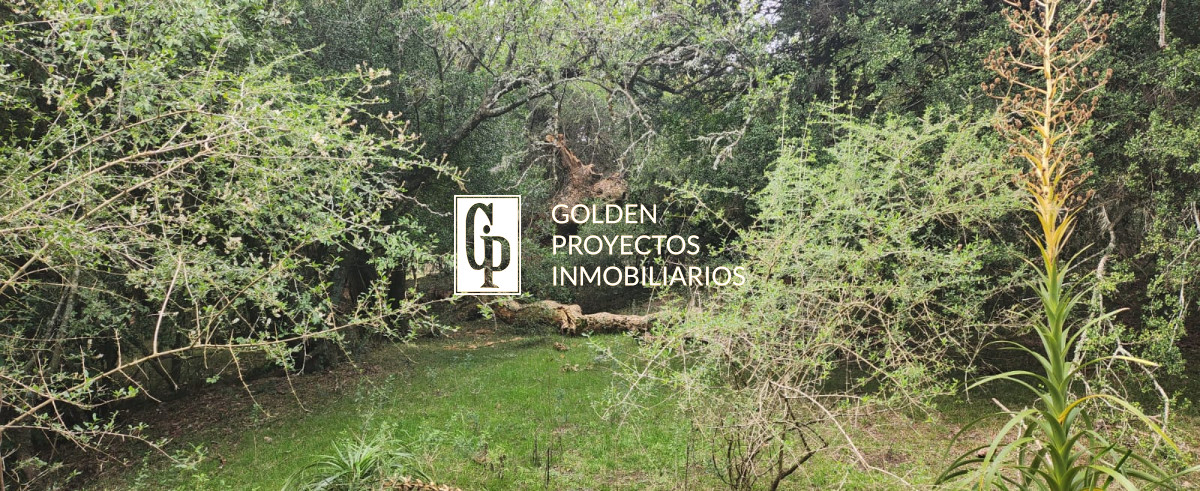 Chacra ID.464 - Venta Chacra, Pueblo Eden, Maldonado