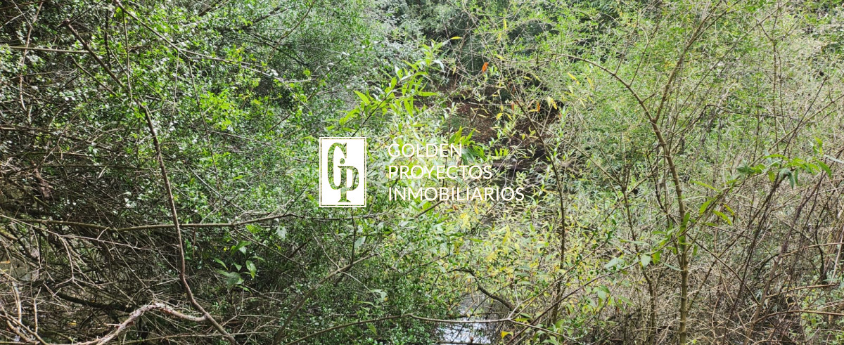 Chacra ID.464 - Venta Chacra, Pueblo Eden, Maldonado