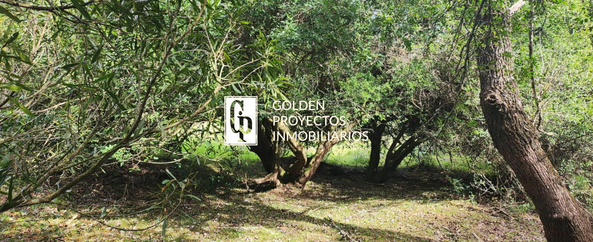 Chacra ID.464 - Venta Chacra, Pueblo Eden, Maldonado