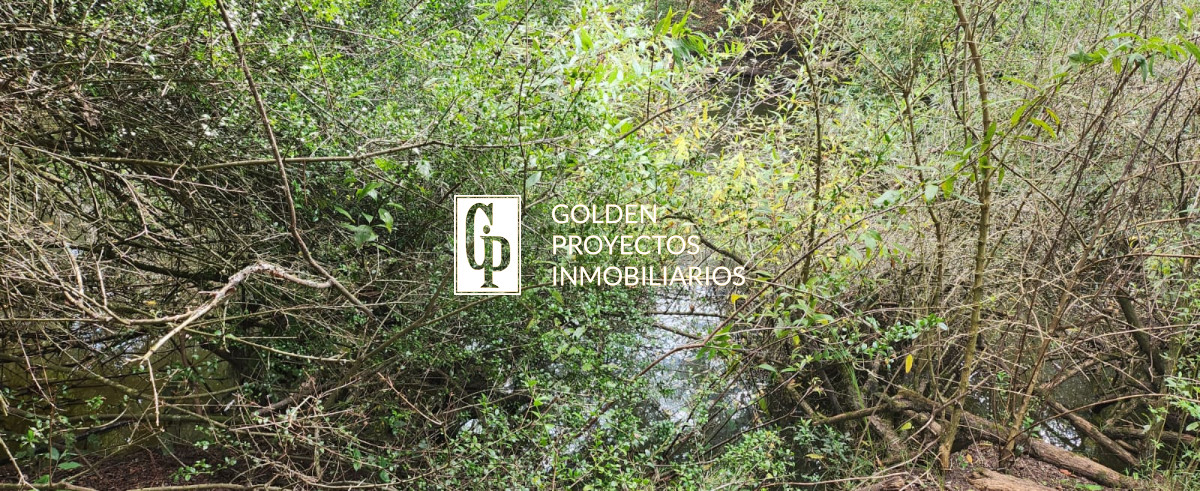 Chacra ID.464 - Venta Chacra, Pueblo Eden, Maldonado