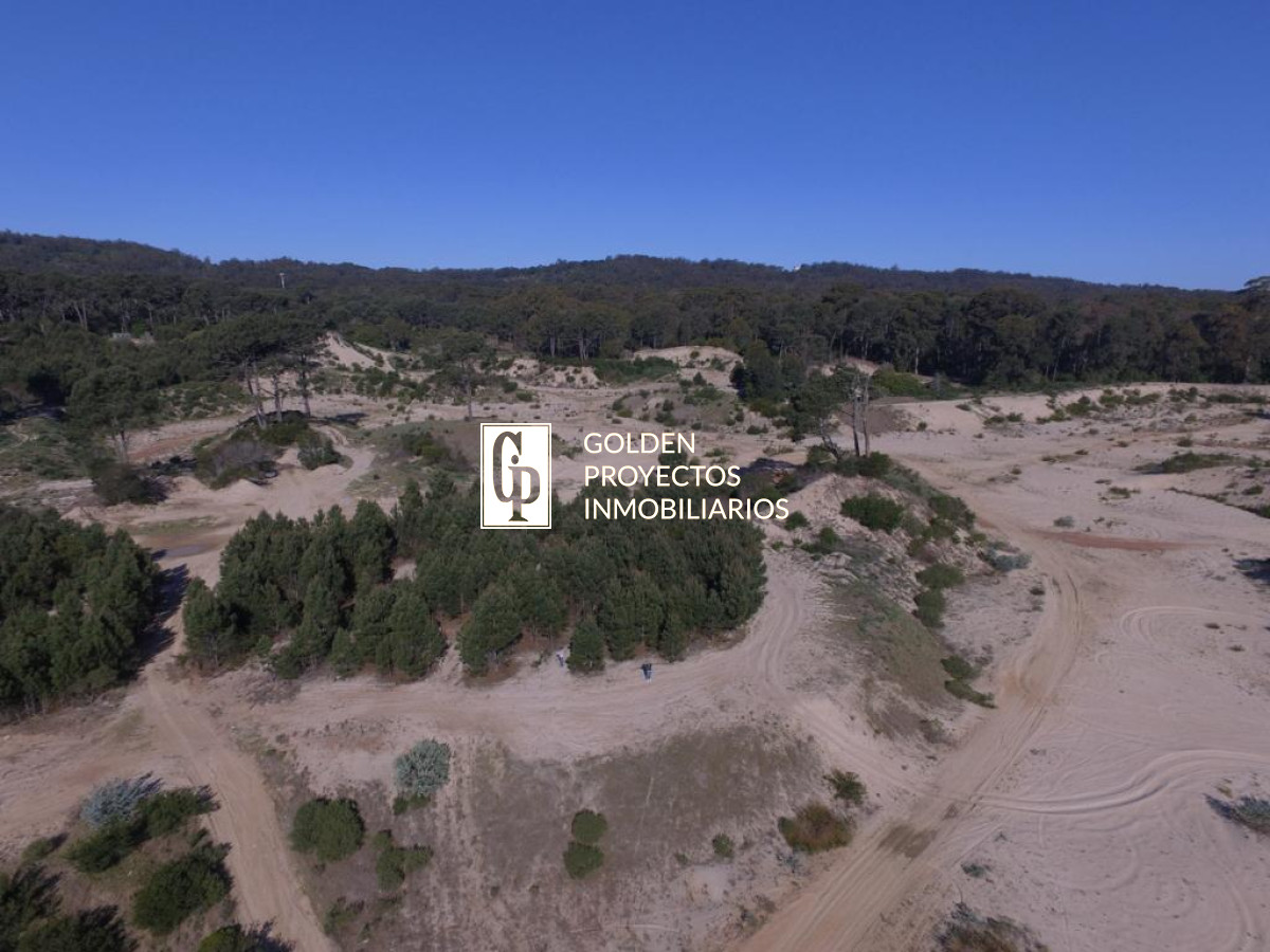Terreno ID.425/Terreno-en-Venta-362.614-m2-sobre-Ruta-12-Solana- - Terreno en Venta 362.614 m2 sobre Ruta 12 Solana 