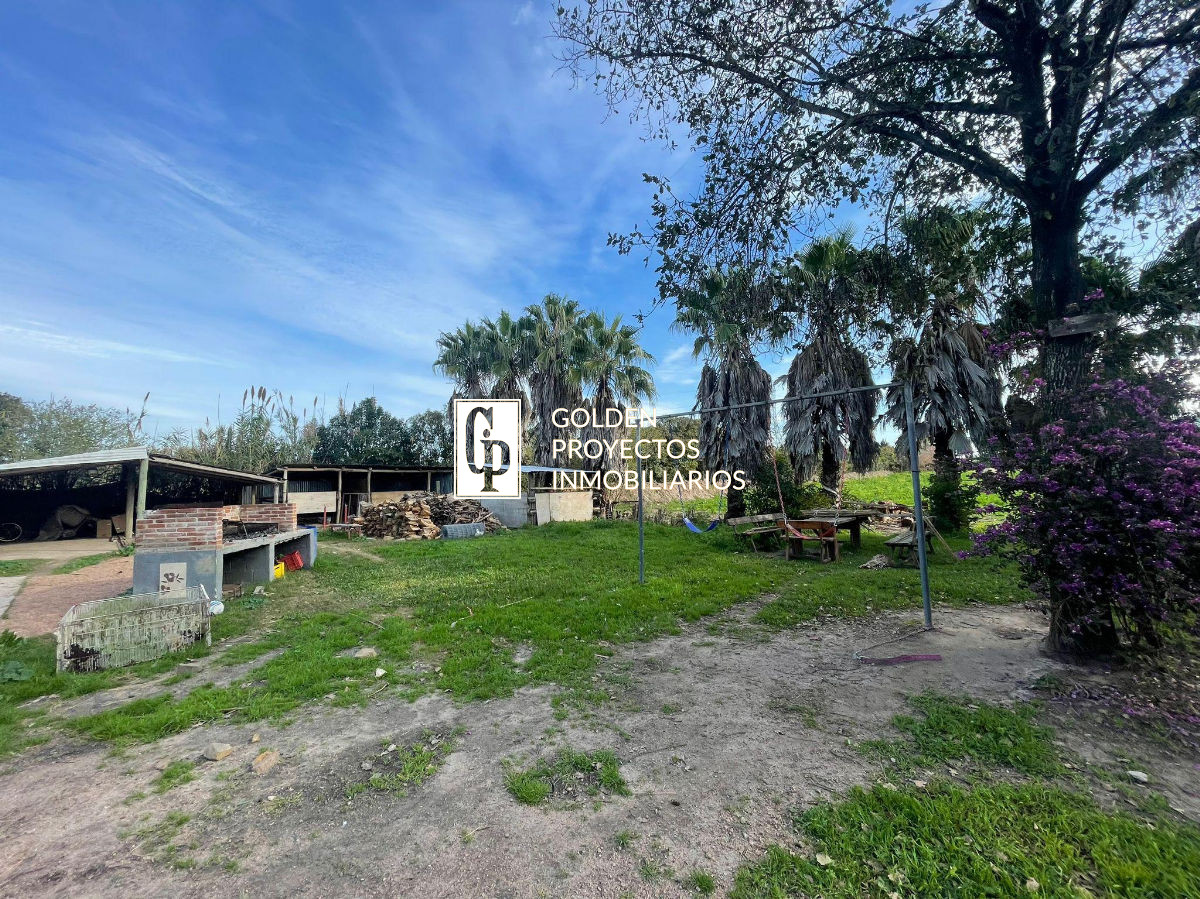 Terreno ID.13/Terreno-en-Venta-1.8-ha.-Carrasco-Prox.-Polo-Club. - Terreno en Venta 1.8 ha. Carrasco Prox. Polo Club.