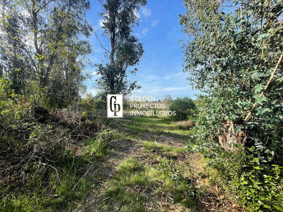 Terreno ID.13/Terreno-en-Venta-1.8-ha.-Carrasco-Prox.-Polo-Club. - Terreno en Venta 1.8 ha. Carrasco Prox. Polo Club.