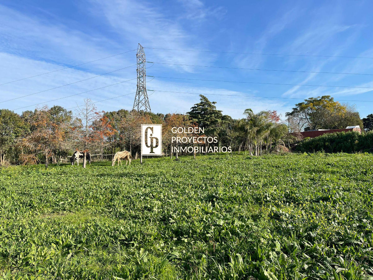 Terreno ID.13/Terreno-en-Venta-1.8-ha.-Carrasco-Prox.-Polo-Club. - Terreno en Venta 1.8 ha. Carrasco Prox. Polo Club.