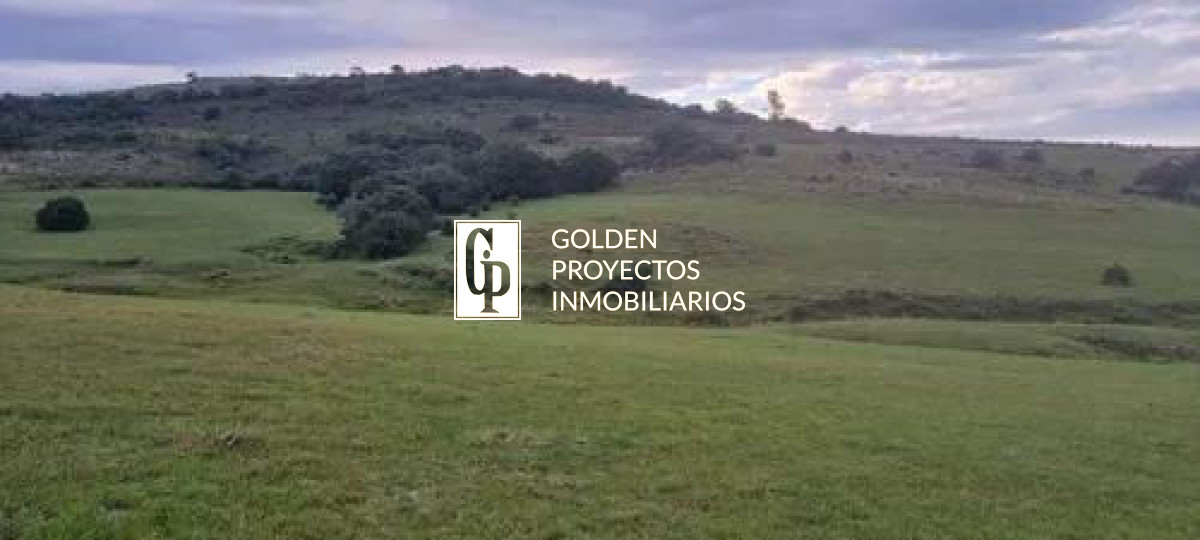 Terreno ID.38 -  Venta de CHACRA a 5 km de Pueblo Eden y Ruta 12 en Punta del Este