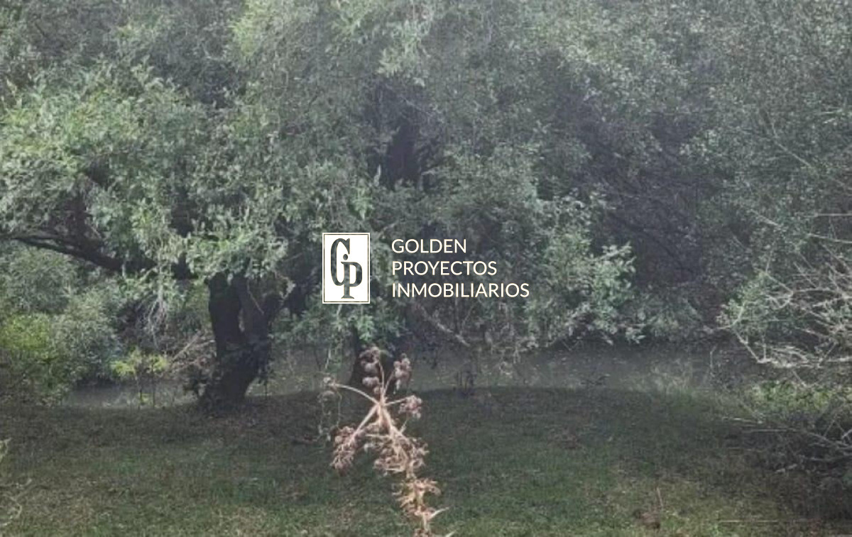 Terreno ID.38 -  Venta de CHACRA a 5 km de Pueblo Eden y Ruta 12 en Punta del Este